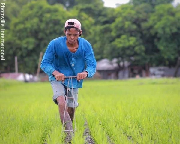 Kagawaran ng Agrikultura nakahandang magbigay ng tulong para sa mga