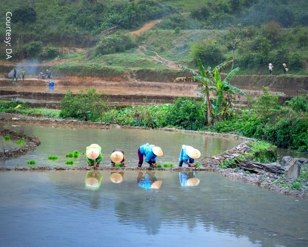 Agrikultura sa Eastern Visayas hinimok ng DA na palawigin - Radyo La